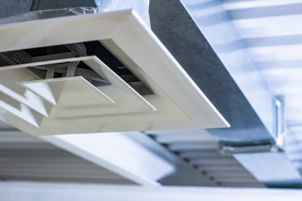 Air Duct Mold Removal in Brickerville, PA