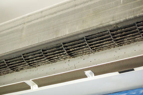 Best Duct Cleaning for Offices  in Brickerville, PA