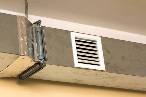 Best Air Duct Sanitizing Services  in Brickerville, PA